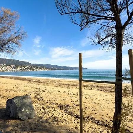 T2 Pied Dans L'eau- Vue Mer- Proche Commerces