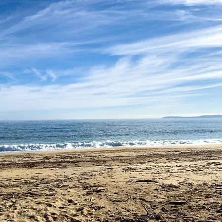 Apartment T2 Pied Dans L'eau- Vue Mer- Proche Commerces