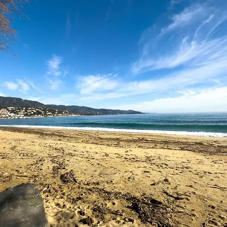 T2 Pied Dans L'eau- Vue Mer- Proche Commerces Le Lavandou